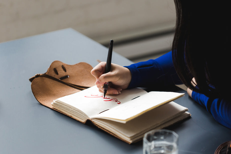 Novel Writing